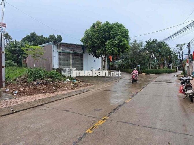 mặt tiền Kinh doanh Vạn xuân phường Eatam cách chợ Đê - Lê Duẩn 1,5km