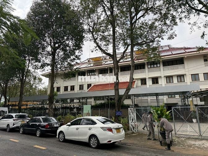 Mặt bằng kinh doanh 300m2 Nguyễn Công Trứ - P. Hội An Tây