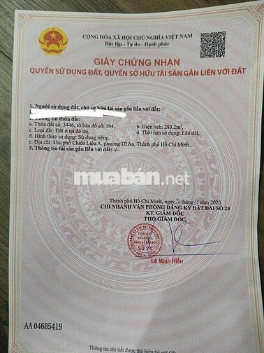 Siêu Phẩm 17x17 Phúc Đạt city Tân Đông Hiệp