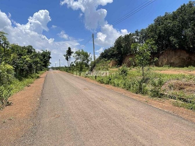 Cần bán đất xã Tân Tiến, Đồng Nai (Bình Phước cũ)