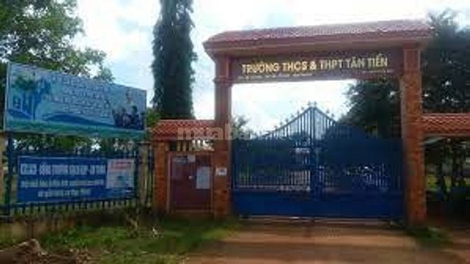 Cần bán đất xã Tân Tiến, Đồng Nai (Bình Phước cũ)