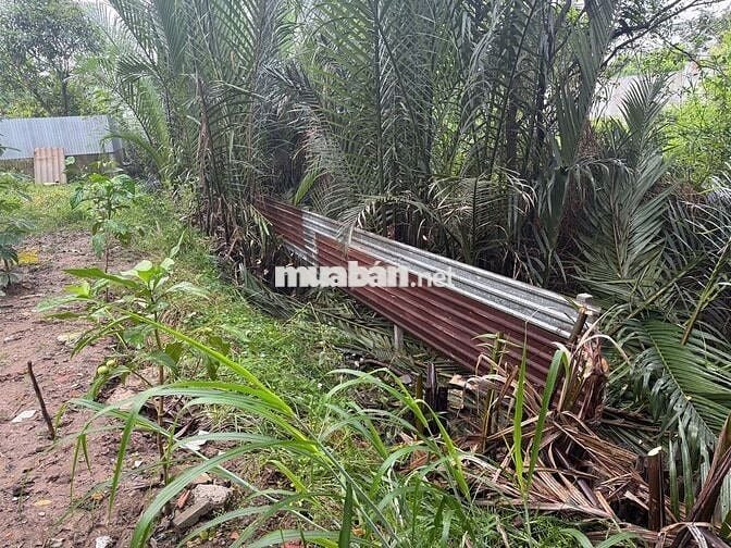 Đất sổ riêng,tiếp giáp Công Viên,gần cầu Rach Tôm, Nhơn Đức.