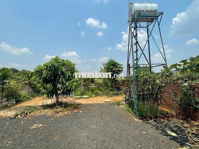 Đất nhà vườn 2 sào 7, có 150m thổ cư