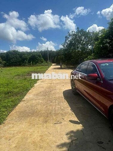 ĐẤT DẦU GIÂY 170m2 SỔ HỒNG THỔ CƯ FULL 585tt