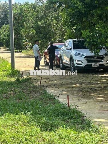 ĐẤT DẦU GIÂY 170m2 SỔ HỒNG THỔ CƯ FULL 585tt