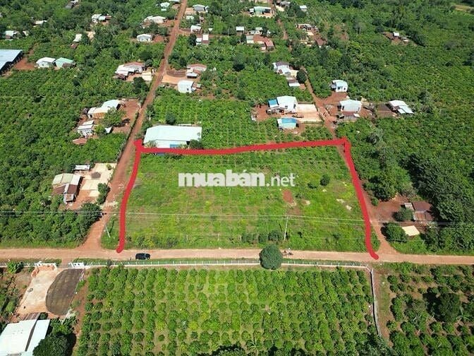 Cần bán lô đất mặt tiền đường lớn , có 300 thổ cư