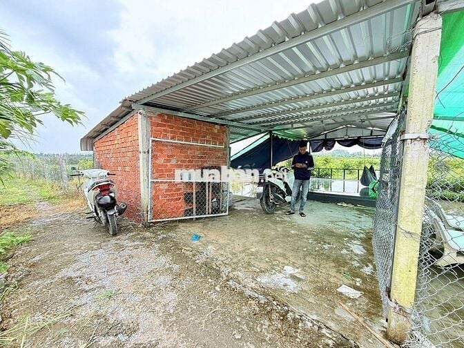 ĐẤT NGHỈ DƯỠNG 2000M2 CHỈ 1 TỶ 150 CÁCH KCN BÌNH MINH -CẦN THƠ 10 PHÚT