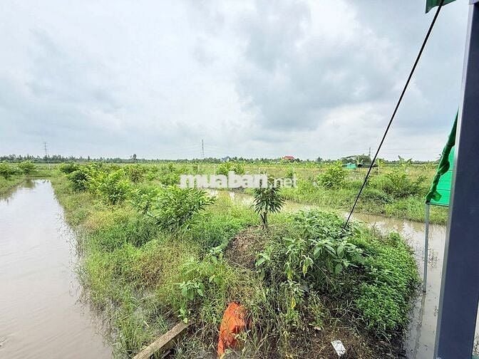 ĐẤT NGHỈ DƯỠNG 2000M2 CHỈ 1 TỶ 150 CÁCH KCN BÌNH MINH -CẦN THƠ 10 PHÚT