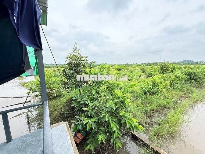 ĐẤT NGHỈ DƯỠNG 2000M2 CHỈ 1 TỶ 150 CÁCH KCN BÌNH MINH -CẦN THƠ 10 PHÚT