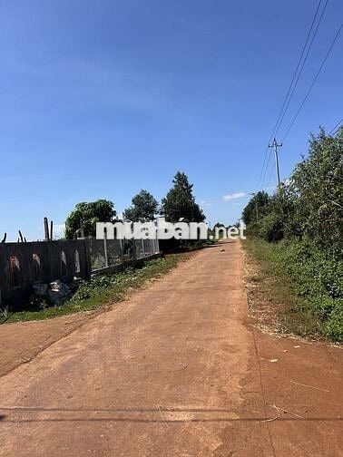 Cần bán lô đất mặt tiền đường lớn , có 300 thổ cư