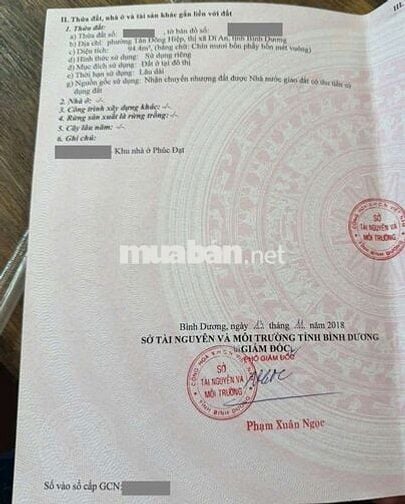 Đất đẹp 95m ngay cổng trục chính kinh doanh kdc Phúc Đạt gần Vincom550