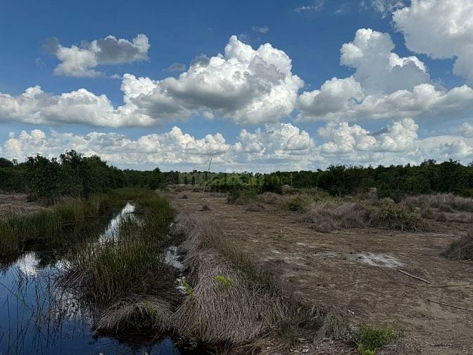 Nhượng đấtấp Mũi Côn Tiểu, xã Phước Hiệp, Củ Chi nay là xã Tân An Hội