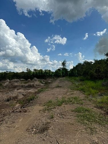 Nhượng đấtấp Mũi Côn Tiểu, xã Phước Hiệp, Củ Chi nay là xã Tân An Hội