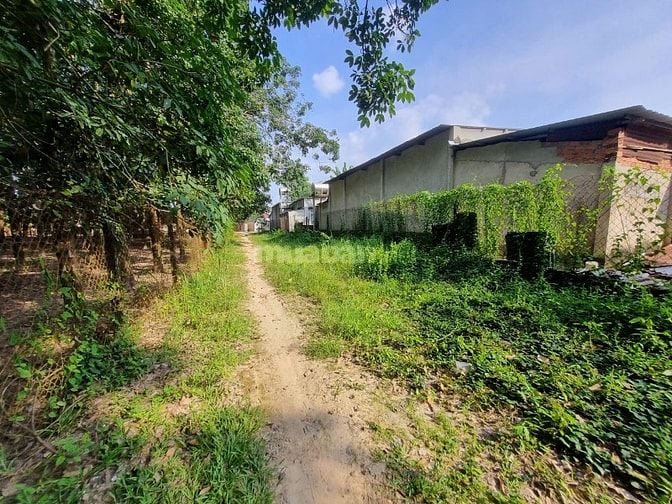 Hơn 1700m2 có thổ cư. Ngay KCN Phước Đông. 4,56 tỷ 