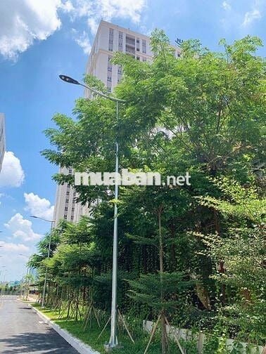 Chính chủ cho thuê CH imperial Tầng cao 56 m2 Mới Bình Tân.