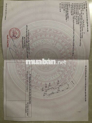 Bán đất mặt tiền Quốc lộ 91 Thị Trấn Tinh Biên an Giang