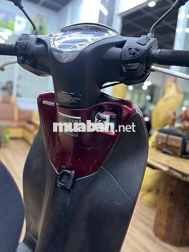 👉Sh mode biển SG có cccd chủ máy móc zin êm