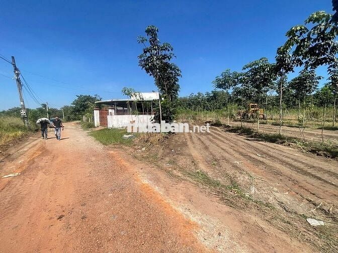 1100m2 cao su có 100m2 Ở ĐÔ THỊ, cách Khu Sinh thái hồ Suối Giai 1km