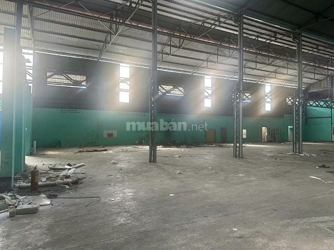 Cho thuê Kho chứa hàng Đường Bùi Cẩm Hổ, Phường Tân Thới Hòa, Tân Phú