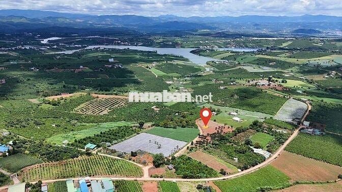 LÂM ĐỒNG VIEW HỒ PHÚC THỌ, 1 000m có 100m thổ CHỈ 849TR