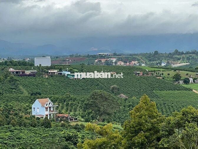 LÂM ĐỒNG VIEW HỒ PHÚC THỌ, 1 000m có 100m thổ CHỈ 849TR