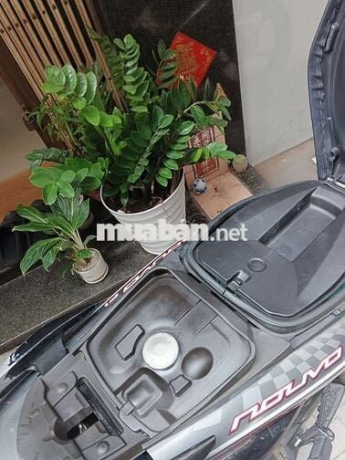 Yamaha Nouvo 5 Fi Đỏ xám