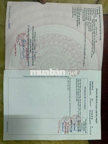 NHINH 4TY HÀNG HIẾM GẦN BIỂN SÁT MÂN THÁI