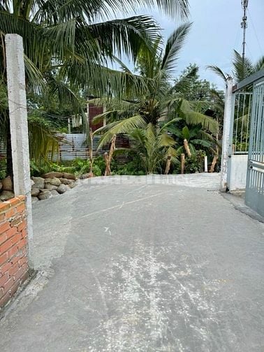 Bán đất ấp Trung Đông, xã Thới Tam Thôn, Hóc Môn nay là xã Đông Thạnh