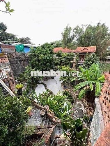 CHO THUÊ BIỆT THỰ SÂN VƯỜN TƯƠNG BÌNH HIỆP THỦ DẦU BD
