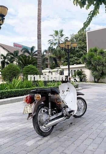 Cub Espero 50cc Bst47 Giấy Tờ Đầy Đủ