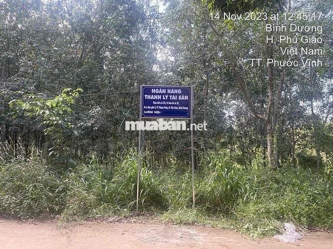 Ngân hàng thanh lý 3.554m² Tại TT Phước Vĩnh, Phú Giáo, Bình Dương