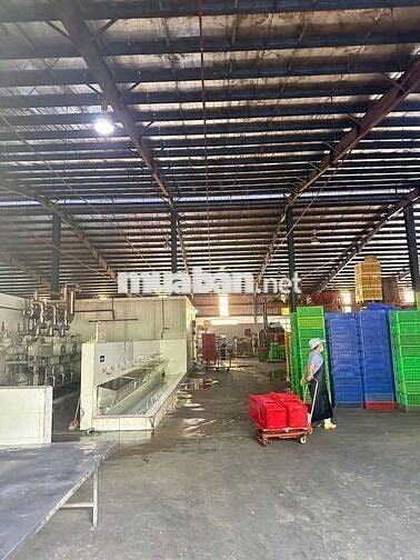 CHO THUÊ XƯỞNG 9.300M² GIÁ *** KHU VỰC HÓC MÔN