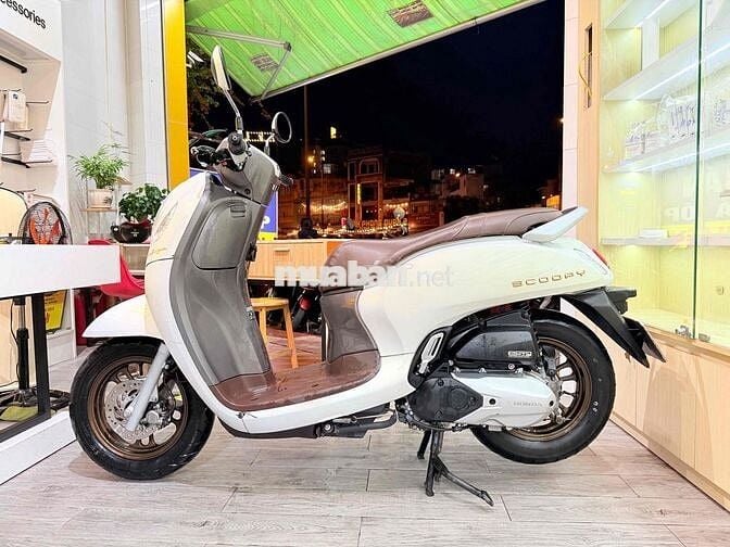 Honda Scoopy 2024 Trắng