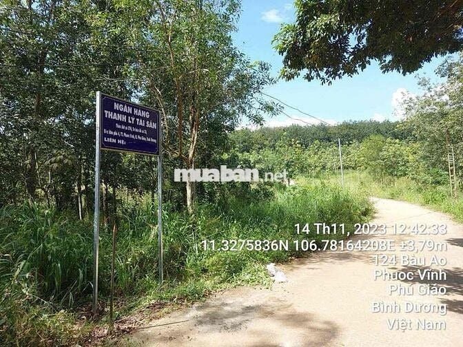 Ngân hàng thanh lý 3.554m² Tại TT Phước Vĩnh, Phú Giáo, Bình Dương