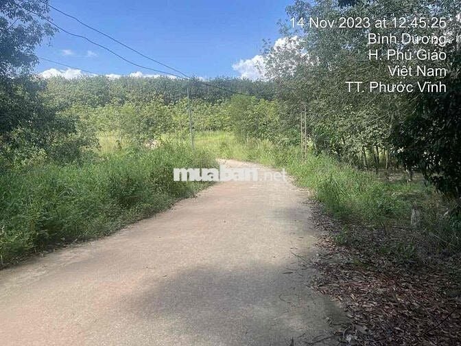 Ngân hàng thanh lý 3.554m² Tại TT Phước Vĩnh, Phú Giáo, Bình Dương