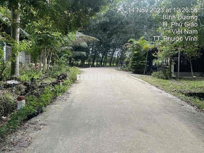 Ngân hàng thanh lý 3.554m² Tại TT Phước Vĩnh, Phú Giáo, Bình Dương