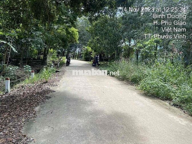 Ngân hàng thanh lý 3.554m² Tại TT Phước Vĩnh, Phú Giáo, Bình Dương