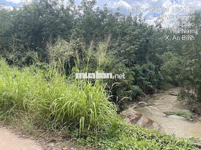 Ngân hàng thanh lý 3.554m² Tại TT Phước Vĩnh, Phú Giáo, Bình Dương