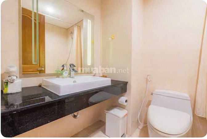 Chính chủ bán Central Plaza, 91 Phạm Văn Hai 4,5 tỷ, 70m2 91 Phạm Văn 