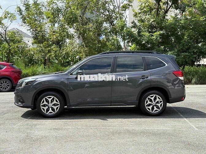 Subaru Forester 2.0 iL ES chuẩn