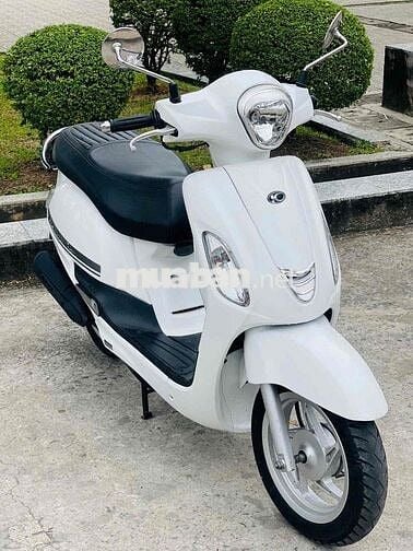 kimco like 50cc biển tp chính chủ
