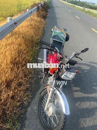 Win 100 Đỏ Classic