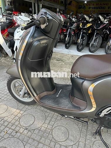 Honda Scoopy 2022 Nâu