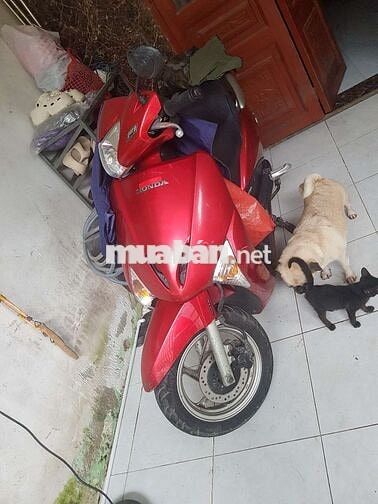 Honda Lead màu Đỏ