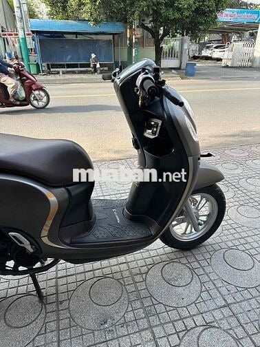 Honda Scoopy 2022 Nâu