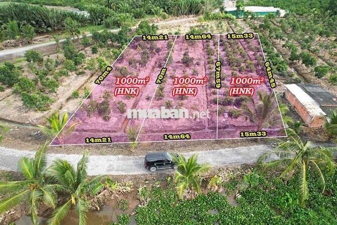 Đất vườn view kênh ở Bình Đức bến lức Long An