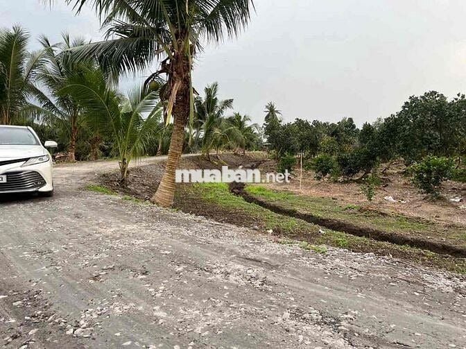 Đất vườn view kênh ở Bình Đức bến lức Long An