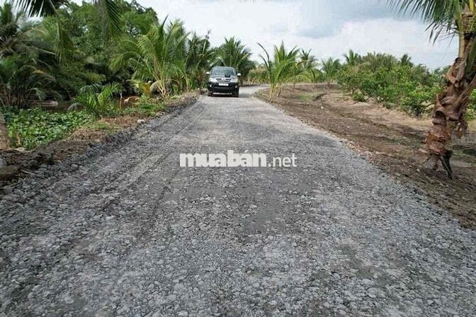 Đất vườn view kênh ở Bình Đức bến lức Long An