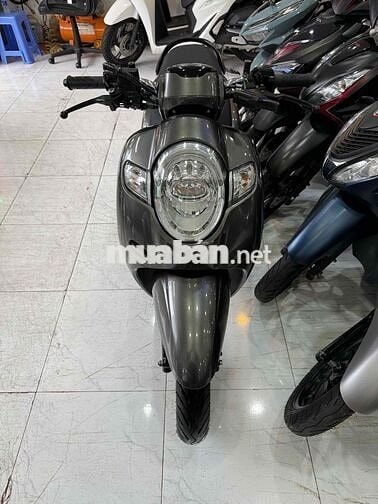 SCOOPY 2019. Xe Zin Êm Đẹp. Odo Thấp. Chủ RG