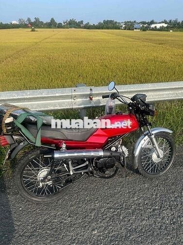 Win 100 Đỏ Classic